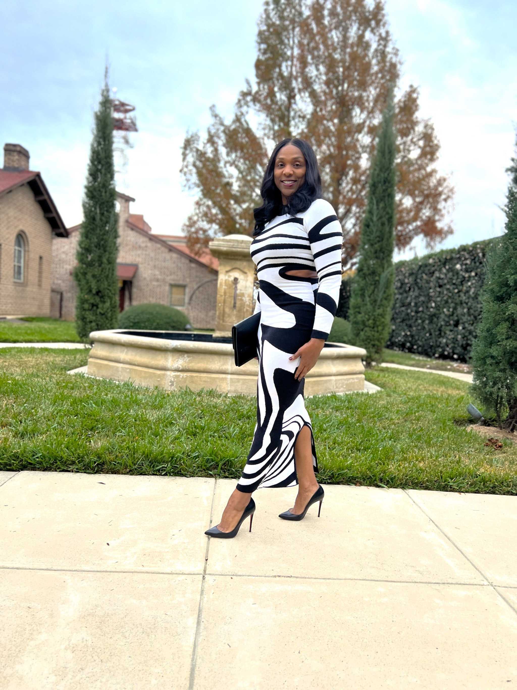 The Zebra  Dress