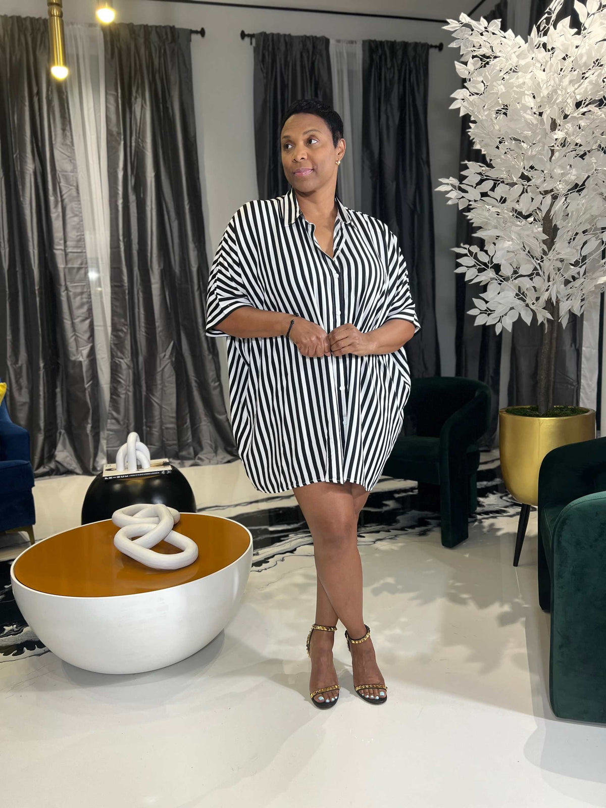 Camille Shirt Dress
